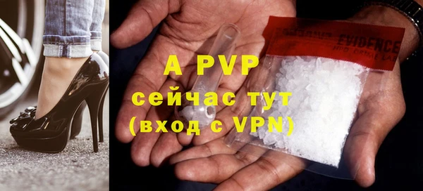 индика Карпинск