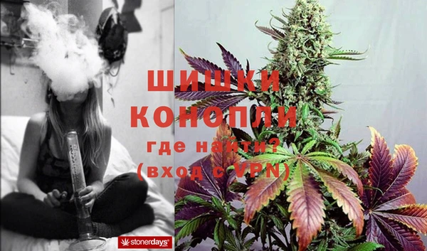 индика Карпинск