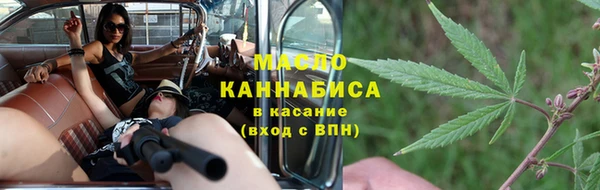 индика Карпинск