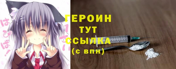индика Карпинск