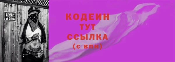 индика Карпинск