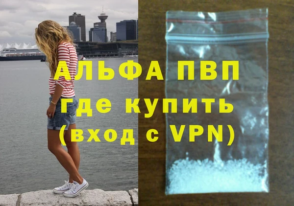 индика Карпинск