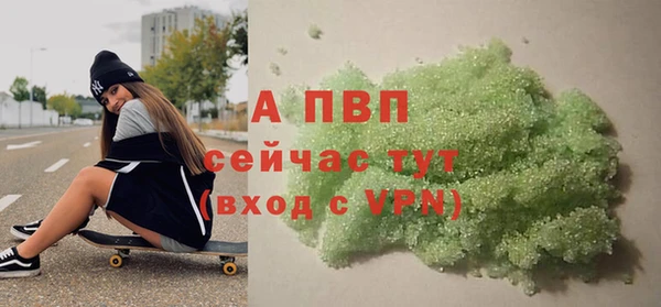 индика Карпинск
