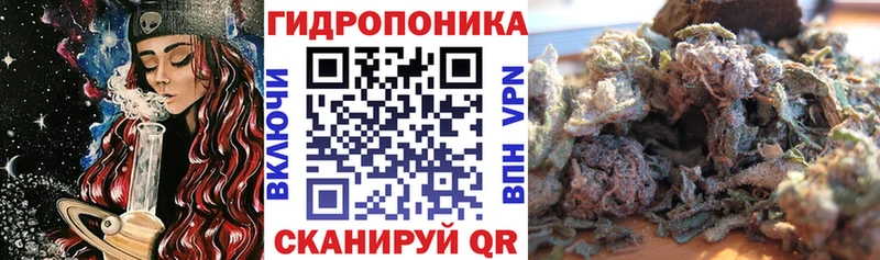 где купить наркотик  KRAKEN маркетплейс  Бошки марихуана сатива  Лодейное Поле 